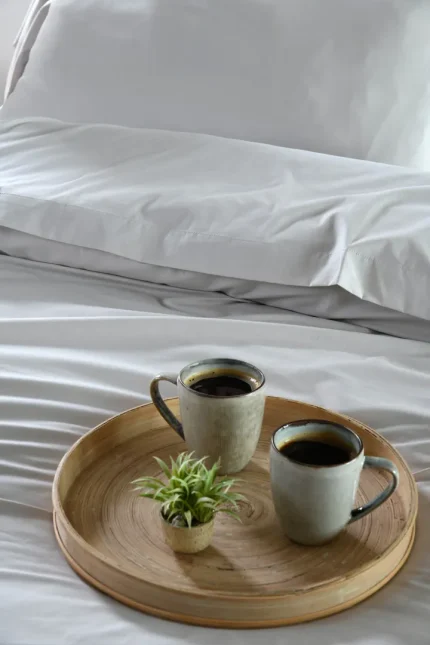 Cearșaf cu elastic Elysee 180X200 cm, culoare in, 100% bumbac - imagine 3